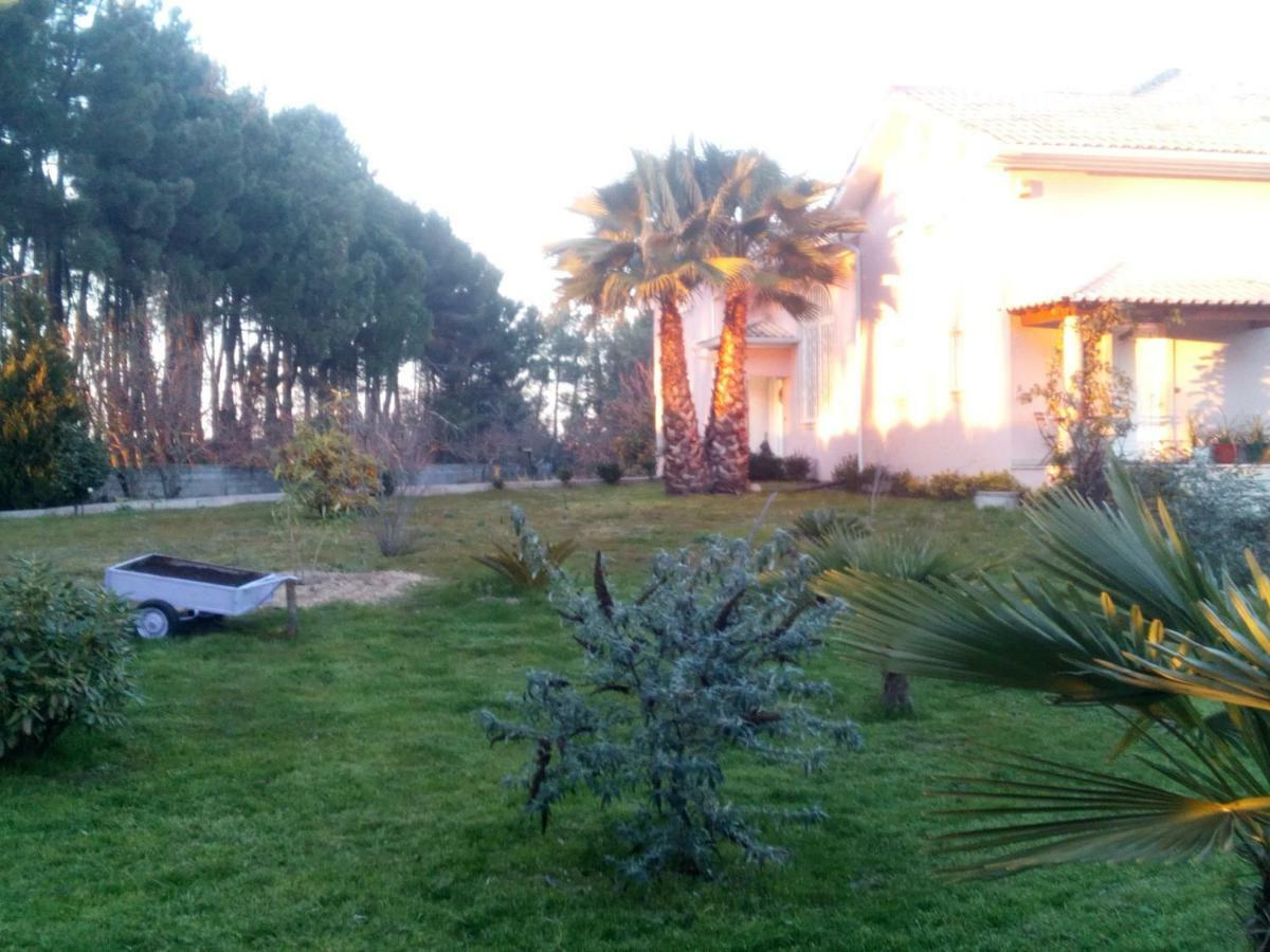 Casa Do Soito Hotel Mangualde Kültér fotó
