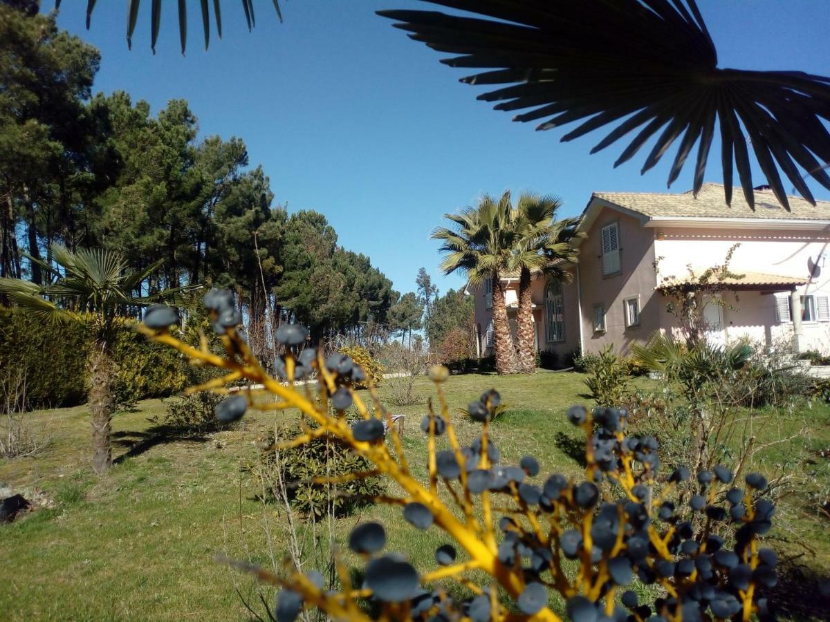 Casa Do Soito Hotel Mangualde Kültér fotó